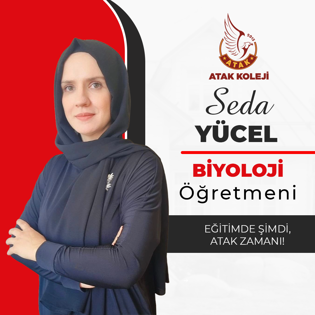SEDA YÜCEL